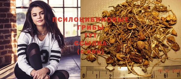 шишки Алзамай