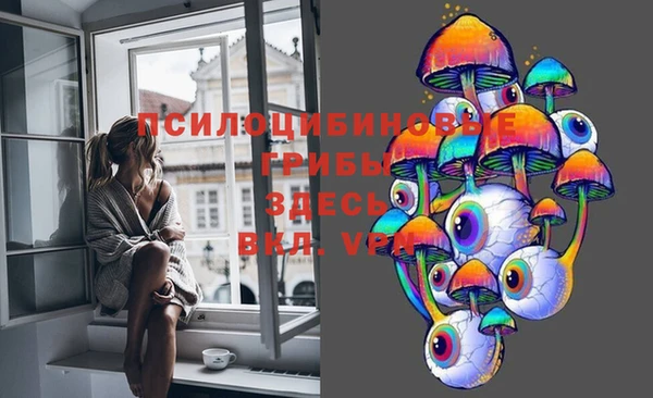 шишки Алзамай