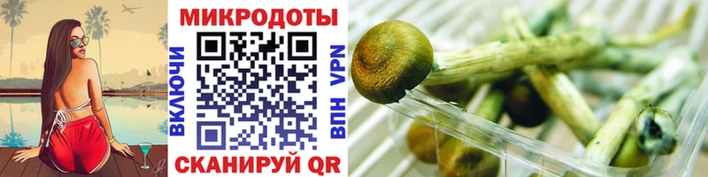 закладки  Лабинск  Псилоцибиновые грибы мухоморы 
